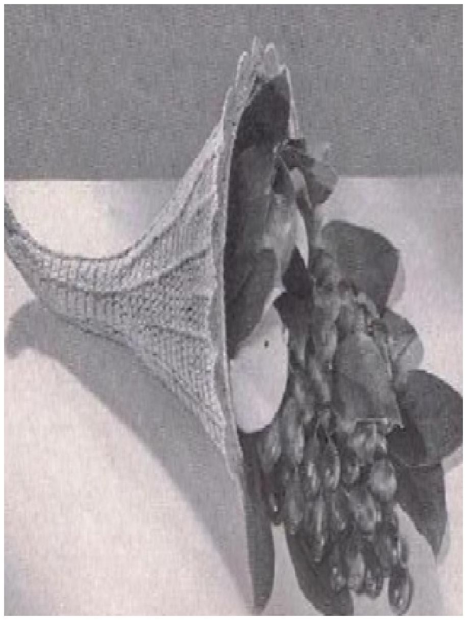 PATTERN #0751 HORN OF PLENTY VINTAGE CROCHET