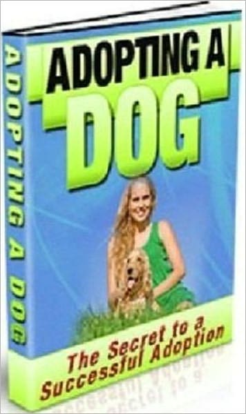 Adopting a Dog - The Secretes to a Successful Adoption