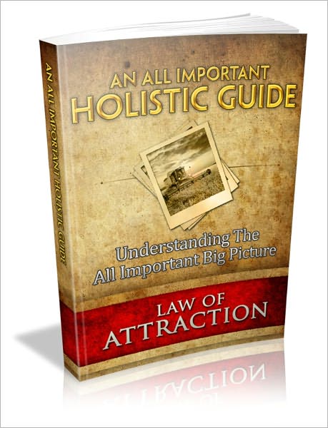 An All Important Holistic Guide - Understanding The All Important Big Picture Law Of Attraction