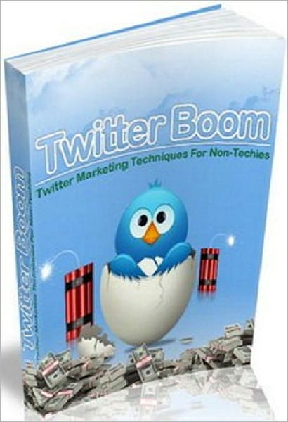 Twitter Boom: Twitter Marketing Techniques for Non-Techies