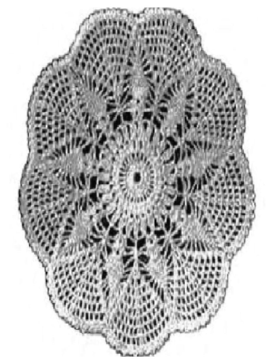 PATTERN #0694 KAREN DOILY VINTAGE CROCHET