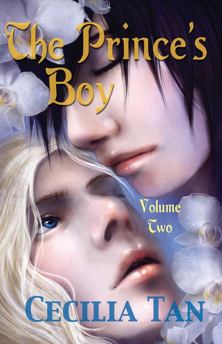 The Prince's Boy, Volume 2