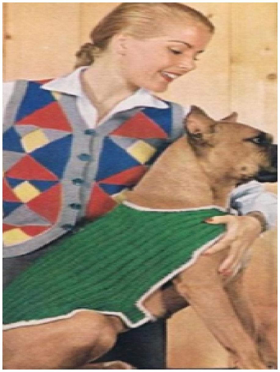 PATTERN #0735 DOGGIE DOG VINTAGE CROCHET