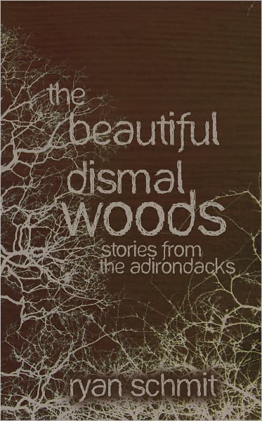 The Beautiful Dismal Woods: Short Stories from the Adirondacks