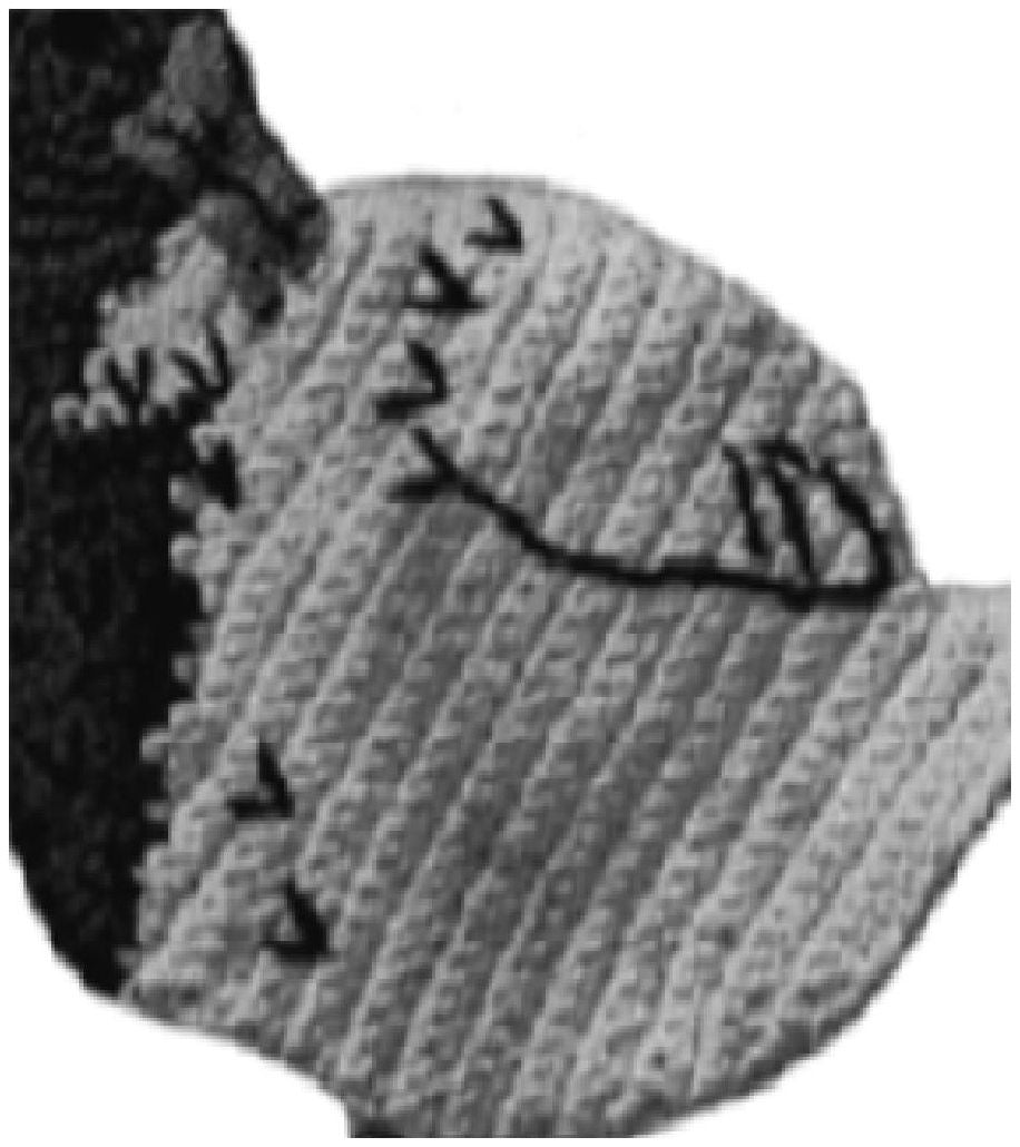 PATTERN #0945 DANNY DUCK POTHOLDER VINTAGE CROCHET