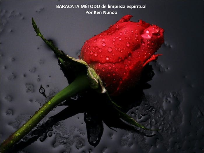 BARACATA M&Eacute;TODO de limpieza espiritual