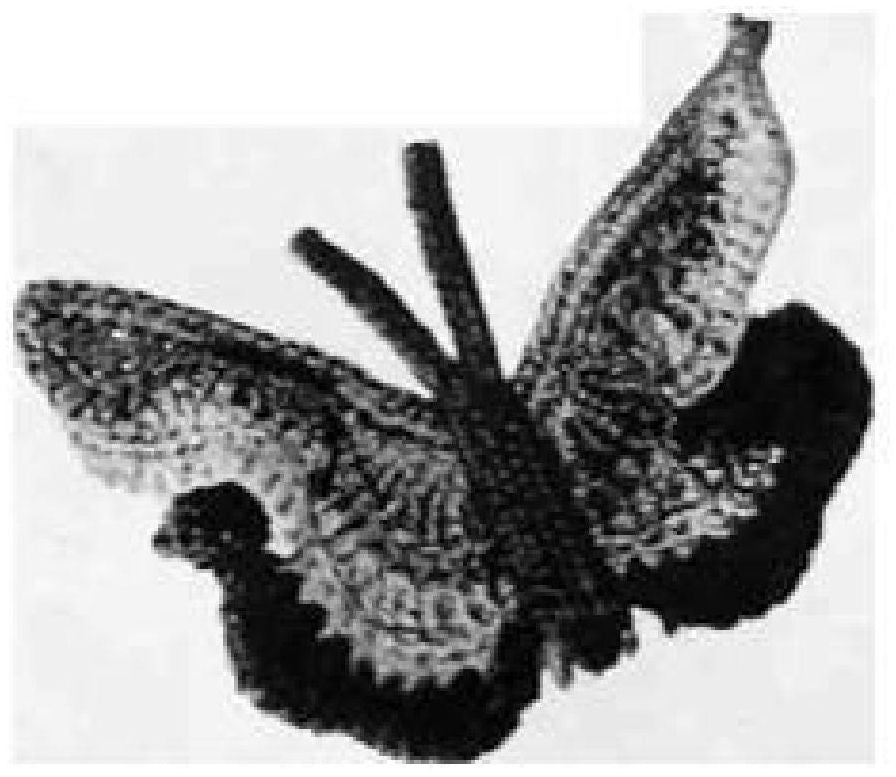 PATTERN #1404 BUTTERFLY HAIR-DO VINTAGE CROCHET