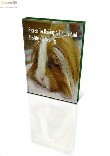 Secrets To Raising A Happy And Healthy Guinea Pig