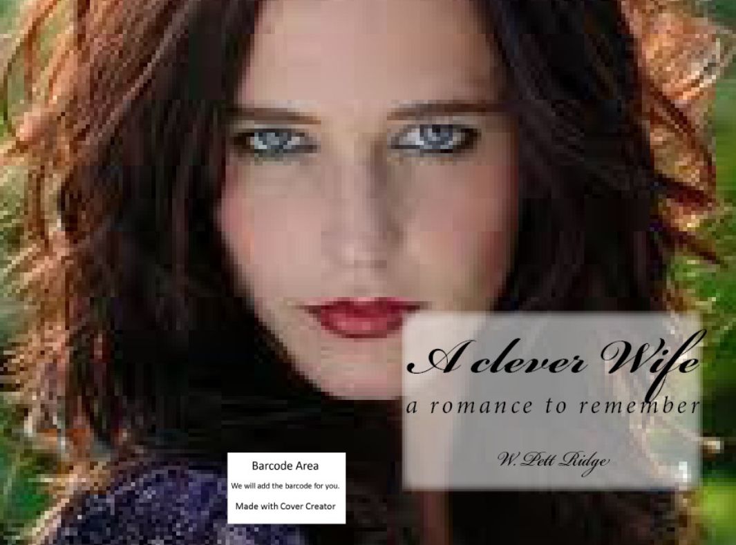 Erotic Stories: A Clever Wife ( Romance, love story, drama, steamy romance, nolel, novella)