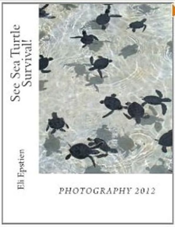 Animals: See Sea Turtle Survival!