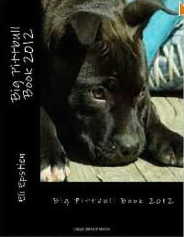Games: Big Pittbull Book 2012