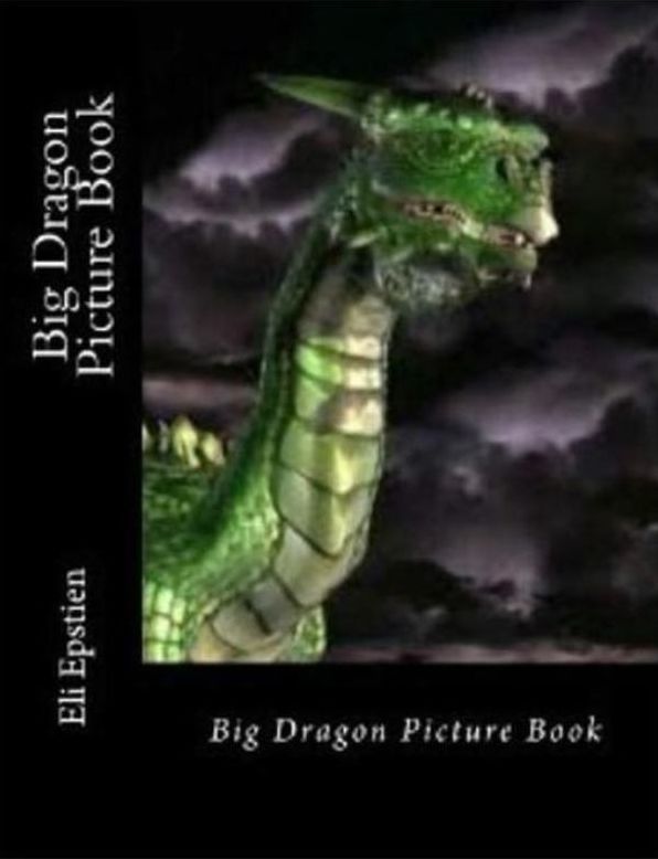 Photography: Big Dragon Picture Book
