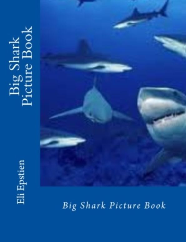 Photography: Big Shark Picture Book