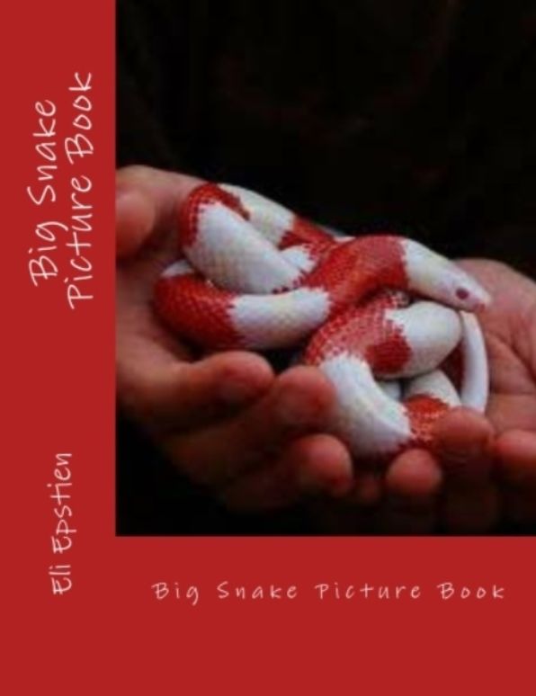 Photography: Big Snake Picture Book