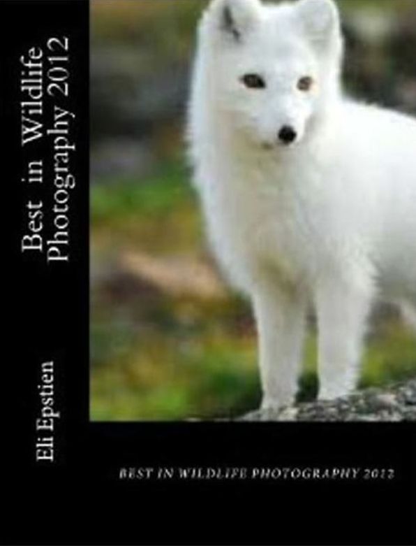 Photography: Best in Wildlife Photography 2012