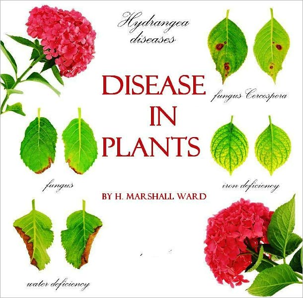 Disease in Plants (Illustrated)