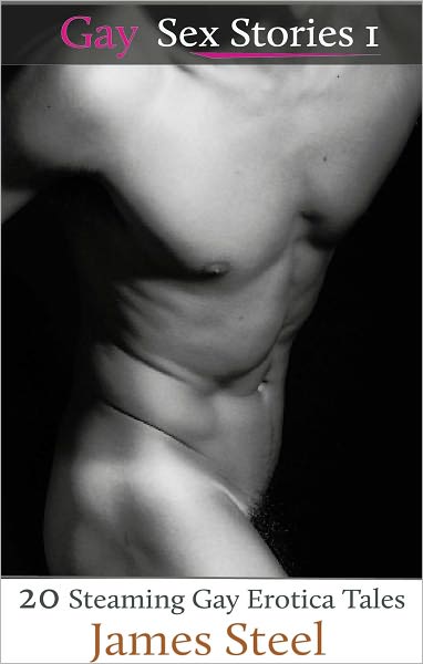 Gay Sex Stories I: 13 Steaming Gay Erotica Tales