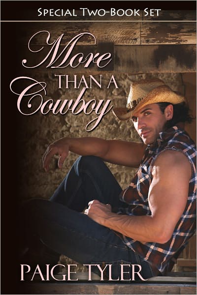 More Than a Cowboy