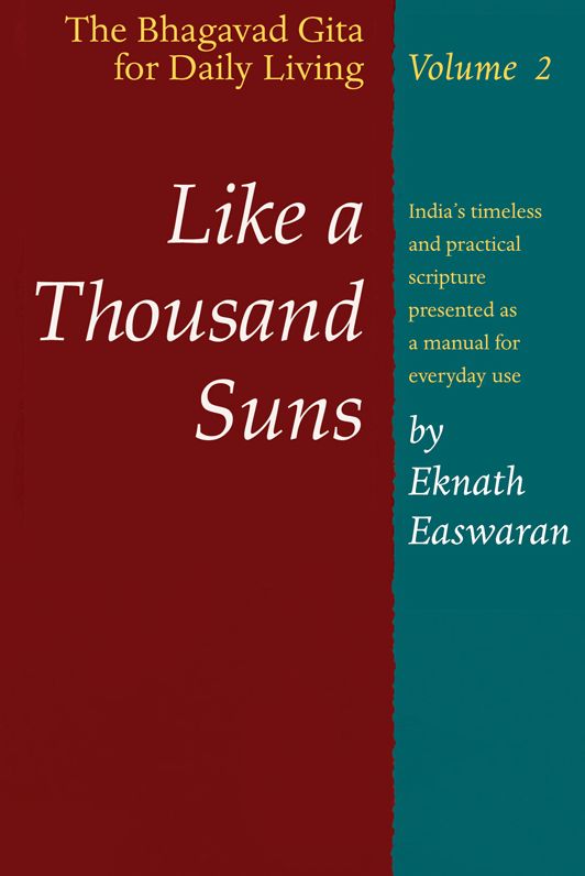 Like a Thousand Suns: The Bhagavad Gita for Daily Living, Volume 2