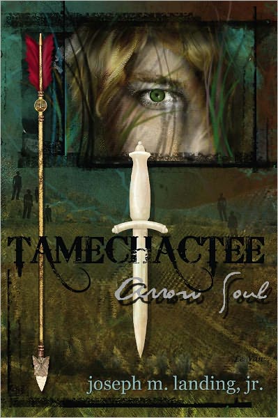 Tamechactee: Arrow Soul