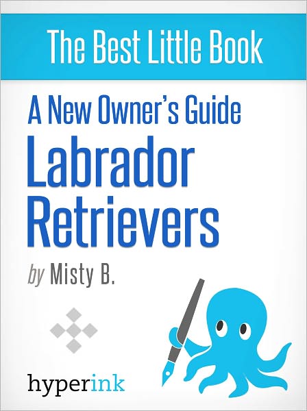 A New Owner's Guide to Labrador Retreivers