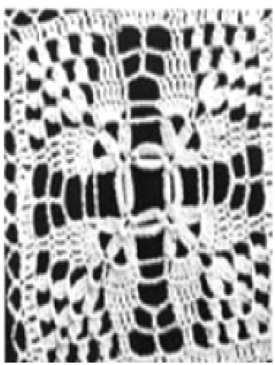 PATTERN #0429 HORN OF PLENTY VINTAGE CROCHET