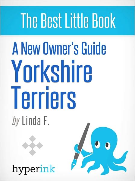 A New Owner's Guide to Yorkshire Terriers