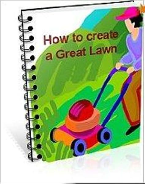How to Create a Great Lawn