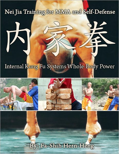 Nei Jia Training for Mixed Martial Arts and Self-Defense