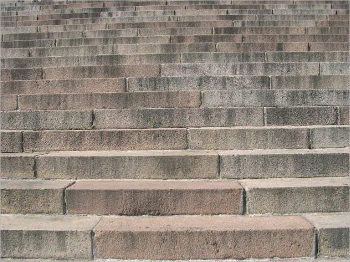 Golden Steps to Respectability, Usefulness and Happiness (Illustrated)
