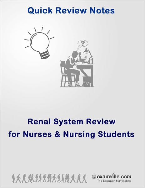 Renal System Quick Review for Nurses and Nursing Students