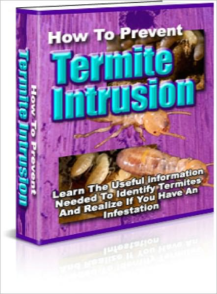 How To Prevent Termite Intrusion