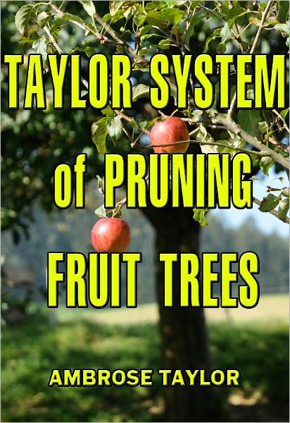 TAYLOR SYSTEM of PRUNING FRUIT TREES