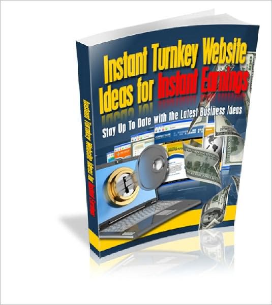 Instant Turnkey Website Ideas For Instant Earnings