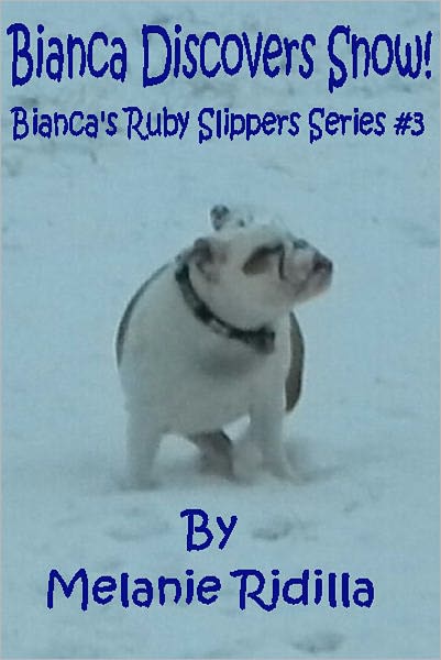 Bianca Discovers Snow! (Bianca's Ruby Slippers Series #3)