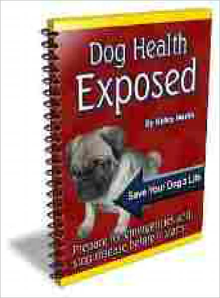 Perfect Handbook For Imperfect Dog Owners