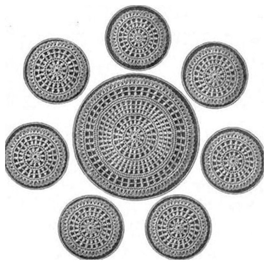 PATTERN #0536 WATER SET. VINTAGE CROCHET