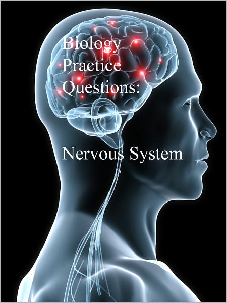 Biology Practice Questions: Nervous System