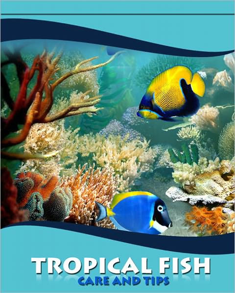 Tropical Fish Care and Tips