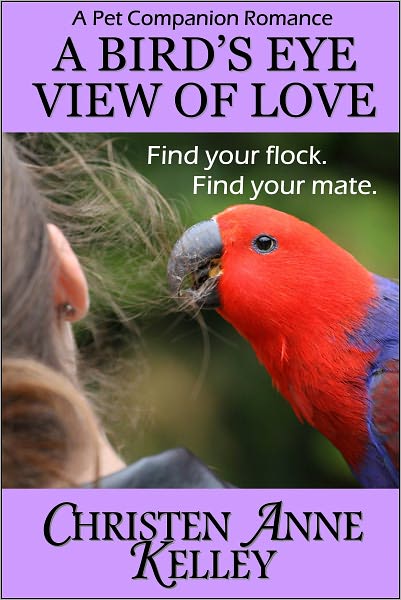 A Bird's Eye View of Love
