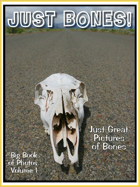 Just Bone Photos! Big Book of Photographs & Pictures of Bones, Vol. 1