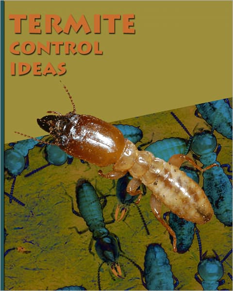 Termite Control Ideas