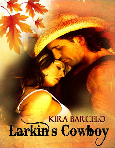 Larkin's Cowboy