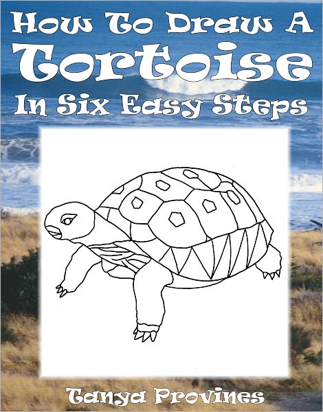 How To Draw A Tortoise In Six Easy Steps