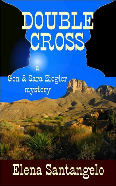 DOUBLE CROSS (Twins Mystery #3)