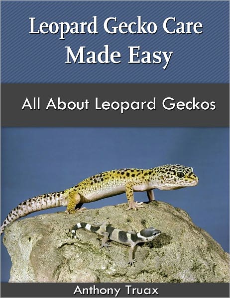 Leopard Gecko Care Made Easy