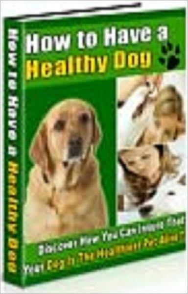 How To Have A Healthy Dog