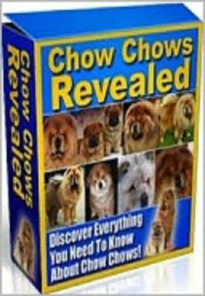 Chow Chows Revealed