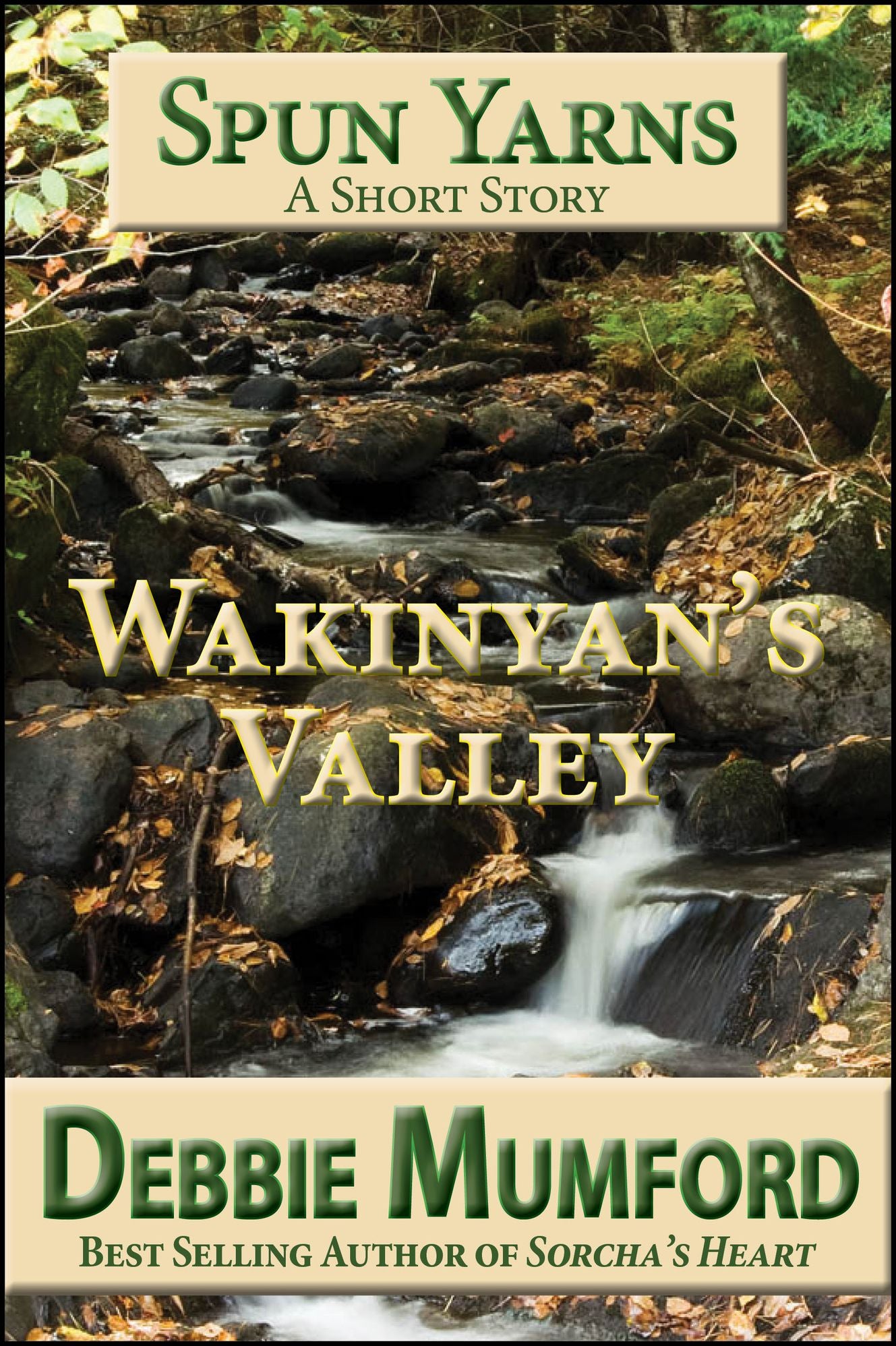 Wakinyan's Valley