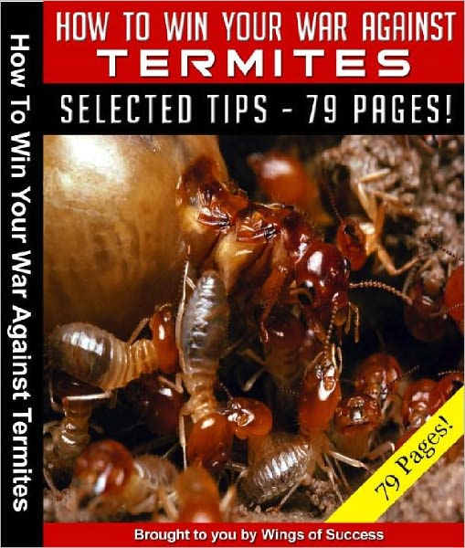 How To Win Your War Against Termites